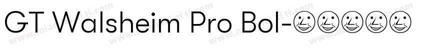 GT Walsheim Pro Bol字体转换